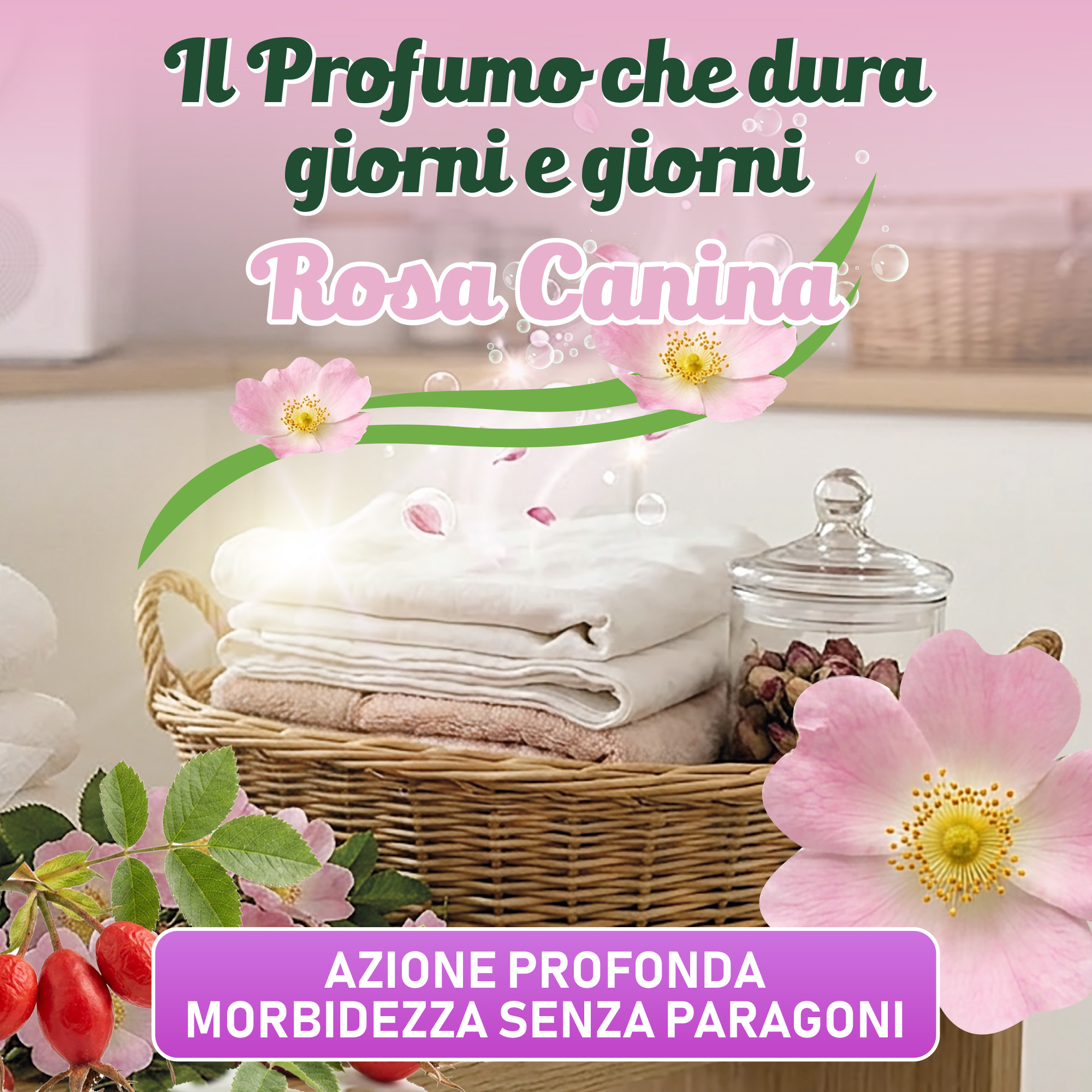 Wash Tesoro Rosa Canina 1 Lt - immagine 2